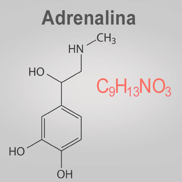 Wzory chemiczne adrenaliny
