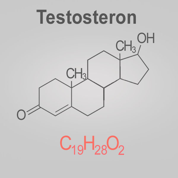 Testosteron wzór